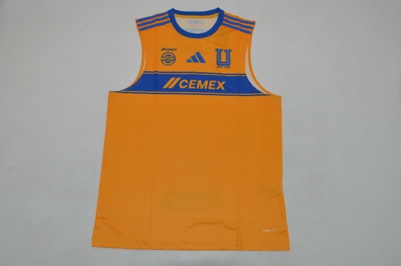 AAA Quality Tigres Uanl 25/26 Training Vest Soccer Jersey