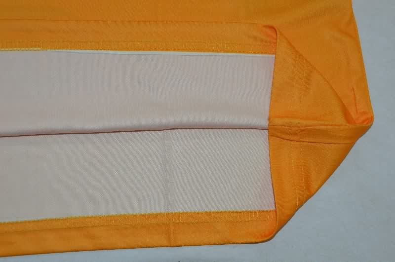 AAA Quality Tigres Uanl 25/26 Training Vest Soccer Jersey