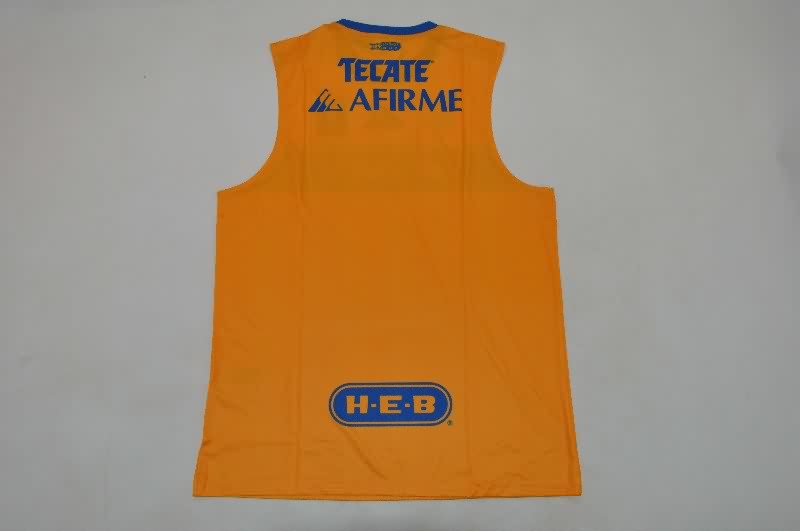 AAA Quality Tigres Uanl 25/26 Training Vest Soccer Jersey
