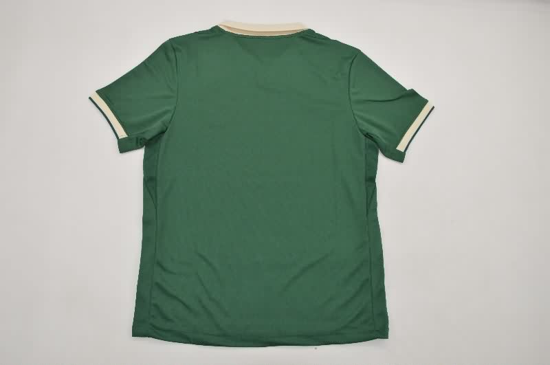 AAA Quality Wolfsburg 25/26 Special Soccer Jersey