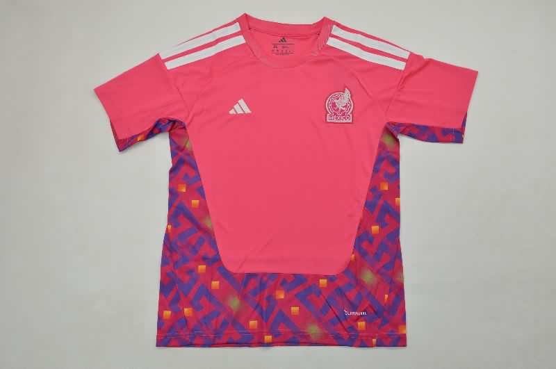 Kids Mexico 2026 Goalkeeper Pink Soccer Jersey And Shorts