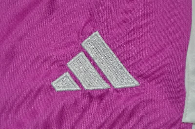 AAA Quality Bayern Munich 25/26 Goalkeeper Purple Soccer Shorts