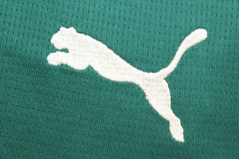 AAA Quality Portugal 2025 Home Soccer Shorts