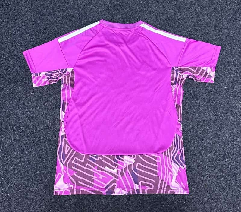 AAA Quality Colo Colo 2026 Goalkeeper Purple Soccer Jersey