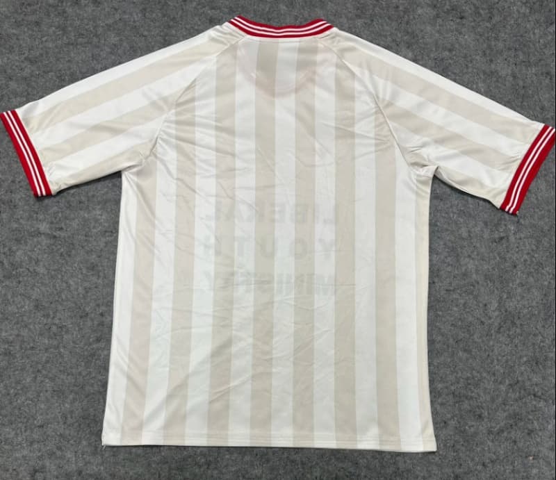 AAA Quality Guadalajara Chivas 26/27 Special Soccer Jersey