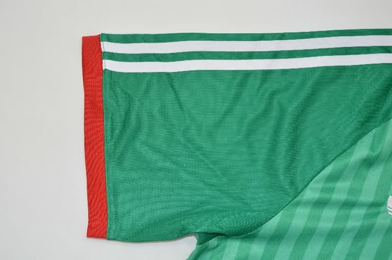 AAA Quality Algeria 2026 World Cup Away Soccer Jersey