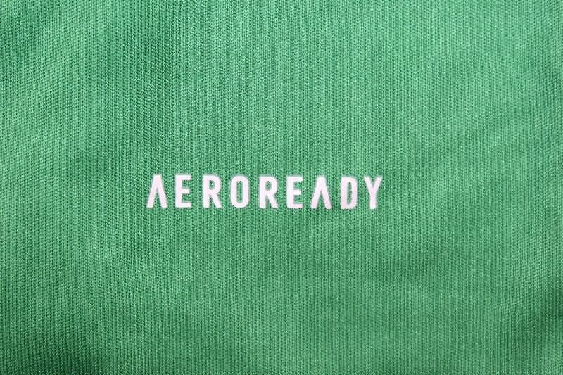 AAA Quality Argentina 2025 Goalkeeper Green Soccer Jersey