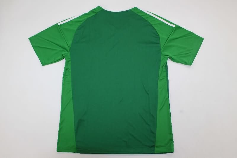 AAA Quality Argentina 2025 Goalkeeper Green Soccer Jersey