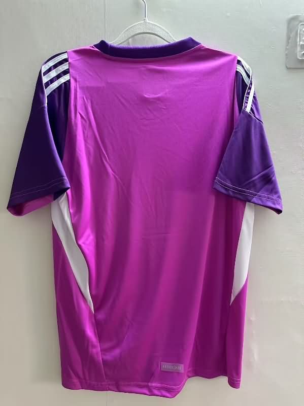 AAA Quality Argentina 2025 Goalkeeper Purple Soccer Jersey