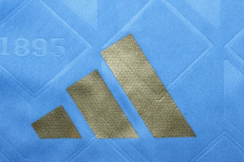 Belgium Soccer Jersey Away (Player) 2024