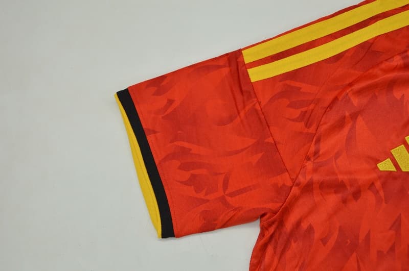 AAA Quality Belgium 2026 World Cup Home Soccer Jersey