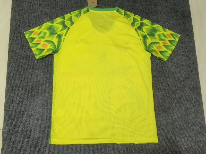 AAA Quality Brazil 2025 Special Soccer Jersey 16