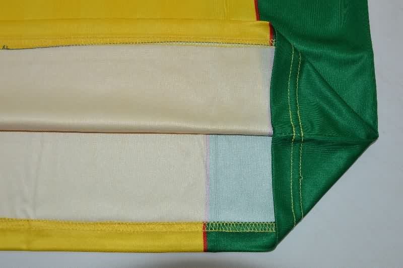 AAA Quality Brazil 2025 Training Soccer Jersey