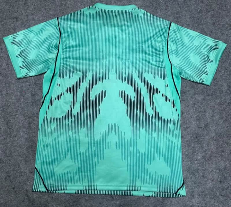 AAA Quality Brazil 2026 Goalkeeper Green Soccer Jersey