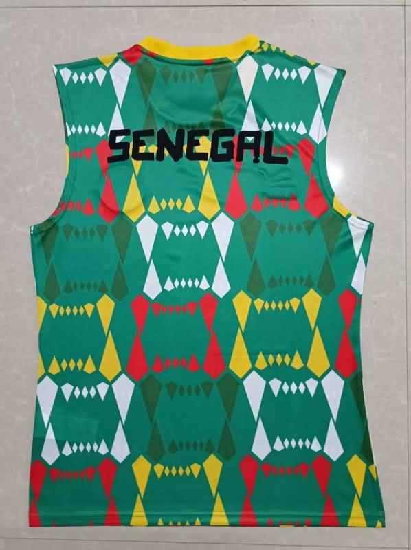 Cameroon Training Jersey Vest Replica 2023/24