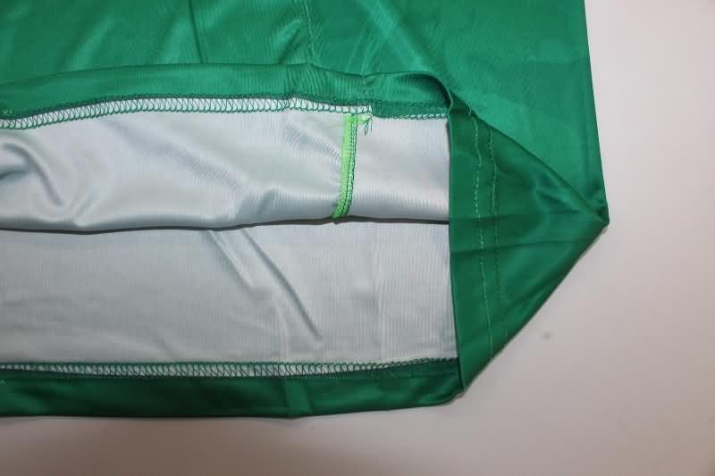 Cameroon Soccer Jersey Home Replica 2024/25