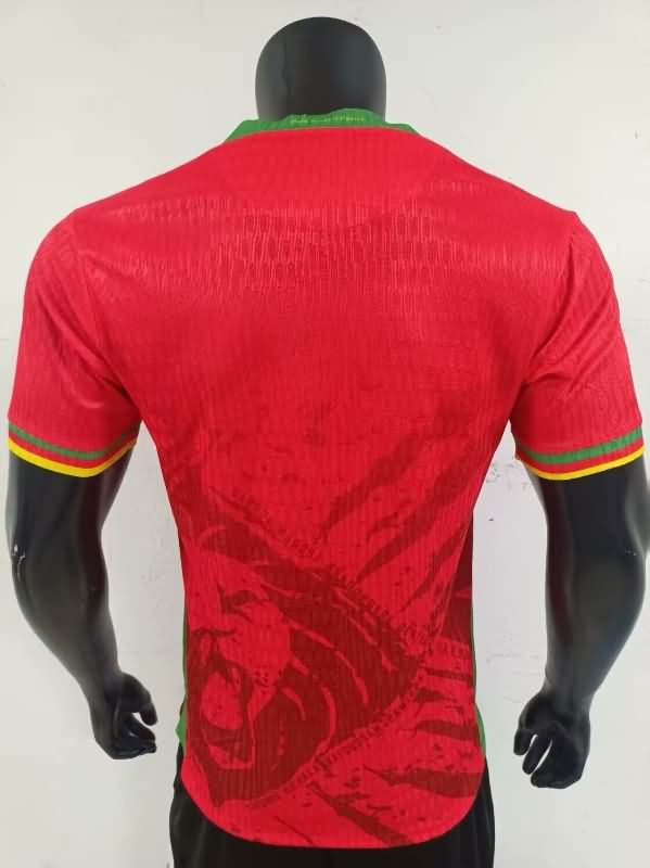 AAA Quality Cameroon 2025 Third Soccer Jersey (Player)