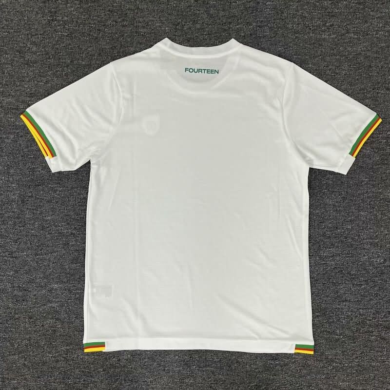 AAA Quality Cameroon 2025 Training Soccer Jersey 05