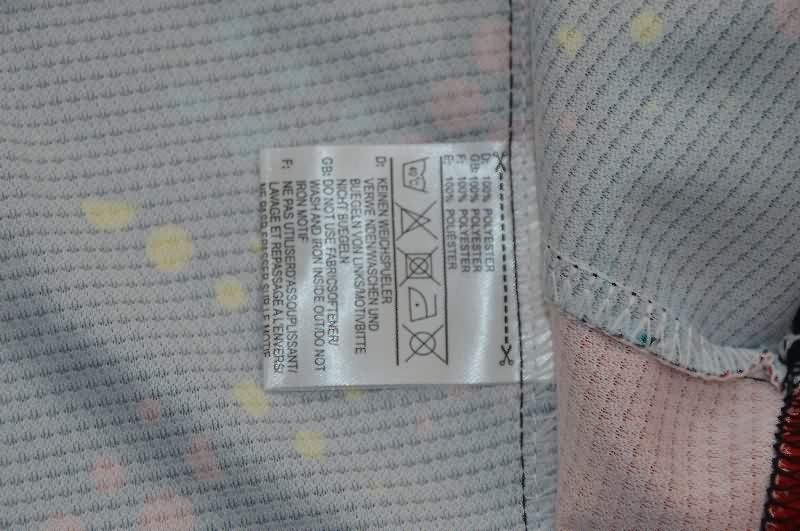 AAA Quality Cameroon 2026 Special Soccer Jersey