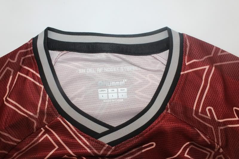 Denmark Training Jersey 02 Replica 2024