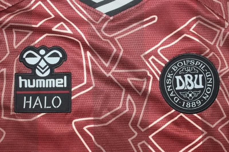 Denmark Training Jersey 02 Replica 2024