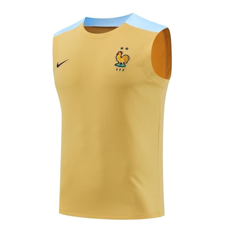 France Training Jersey 03 Vest Replica 2024