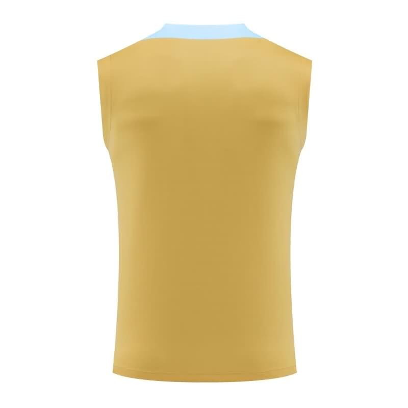 France Training Jersey 03 Vest Replica 2024