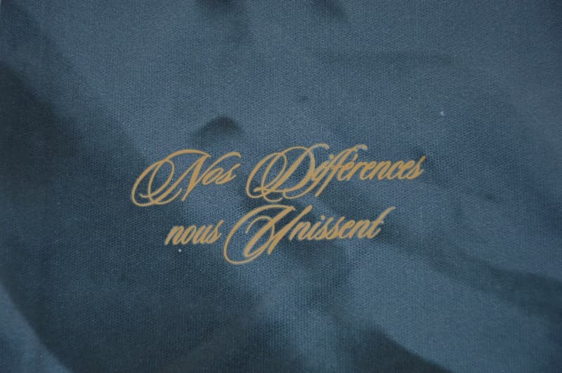 AAA Quality France 2026 Special Soccer Jersey