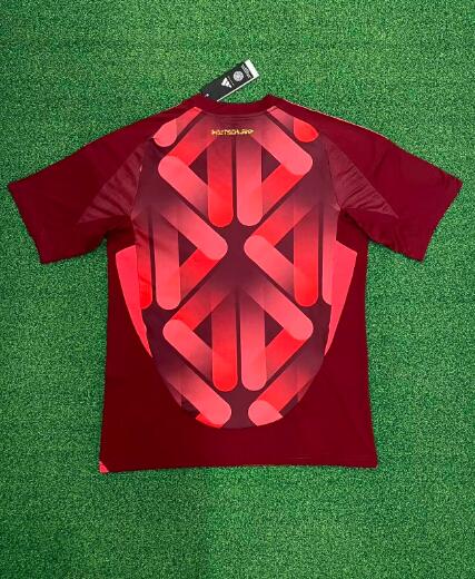 AAA Quality Germany 2025 Female EURO Away Soccer Jersey