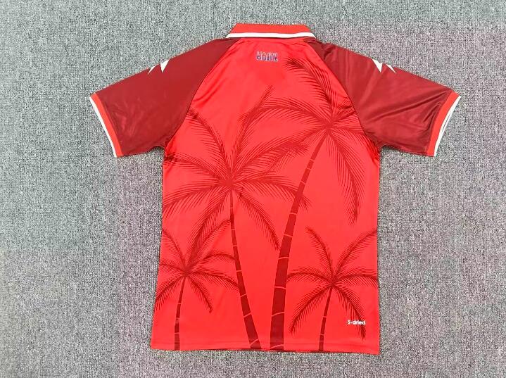 AAA Quality Haiti 2026 World Cup Third Soccer Jersey