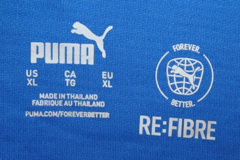 Iceland Soccer Jersey Home Replica 2024