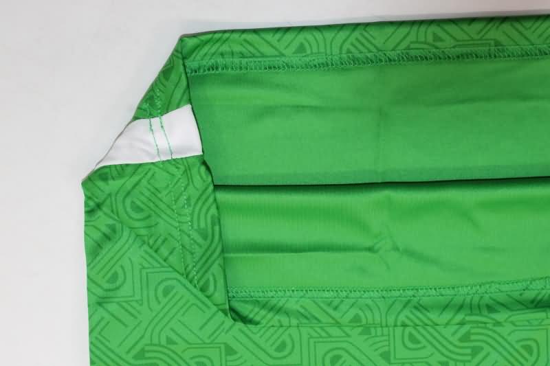 Ireland Soccer Jersey Home Replica 2024