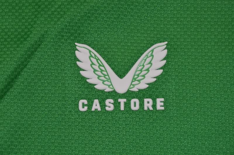 AAA Quality Ireland 2025 Home Soccer Jersey (Player)