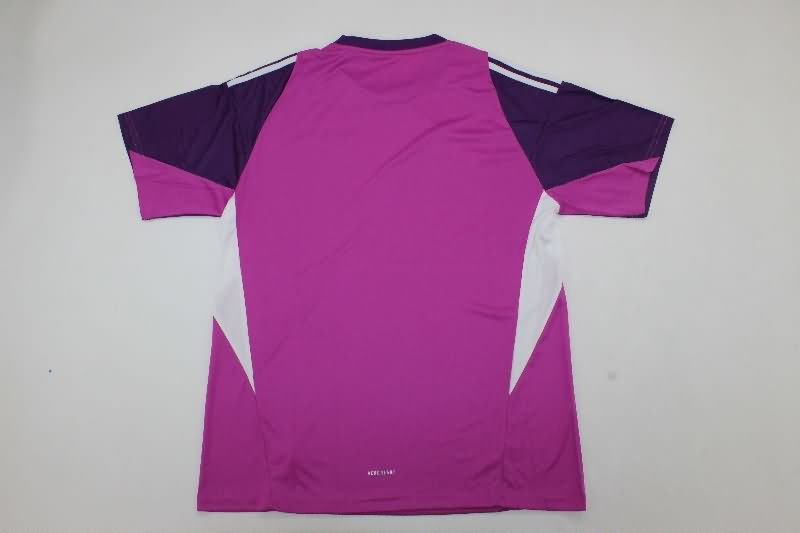 AAA Quality Italy 2025 Goalkeeper Purple Soccer Jersey