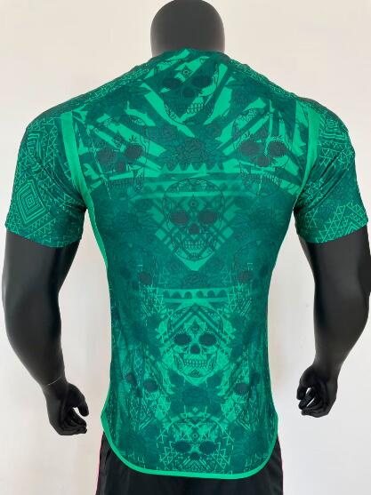 Mexico Soccer Jersey Special (Player) 2023/24
