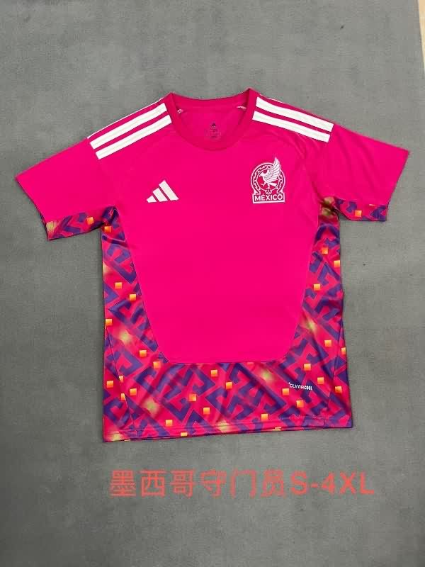 AAA Quality Mexico 2025 Goalkeeper Pink Soccer Jersey AAA Quality Mexico 2025 Goalkeeper Pink Soccer Jersey
