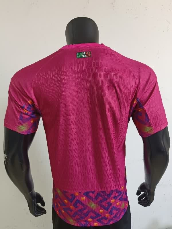 AAA Quality Mexico 2025 Goalkeeper Pink Soccer Jersey (Player)