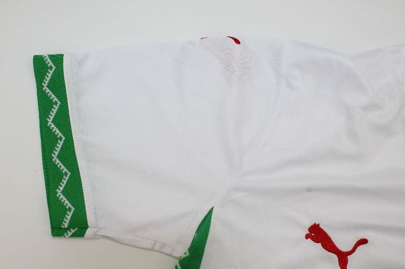 Morocco Soccer Jersey Away Replica 2025