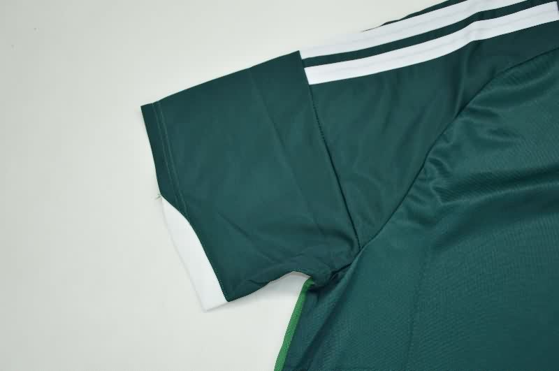 AAA Quality Northern Ireland 2026 Home Soccer Jersey