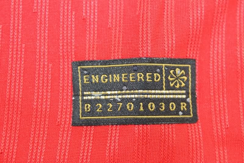 AAA Quality Norway 2025 Home Soccer Jersey (Player)