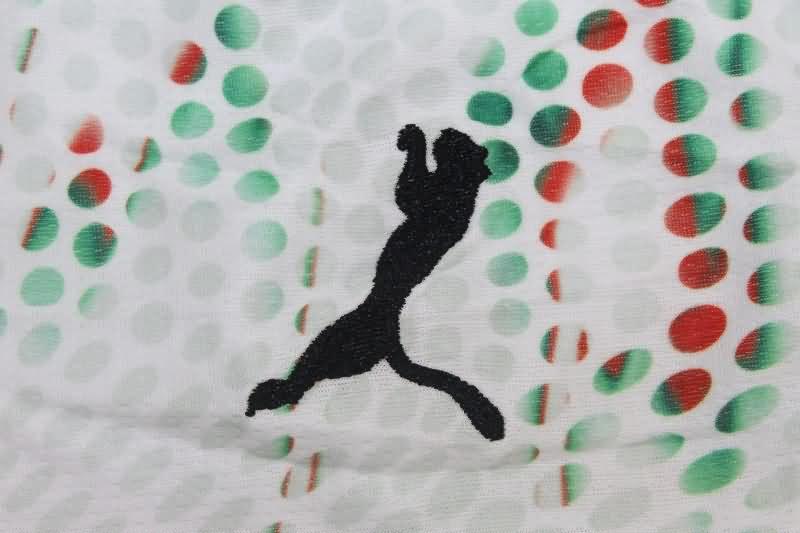 Portugal Soccer Jersey Away (Player) 2025