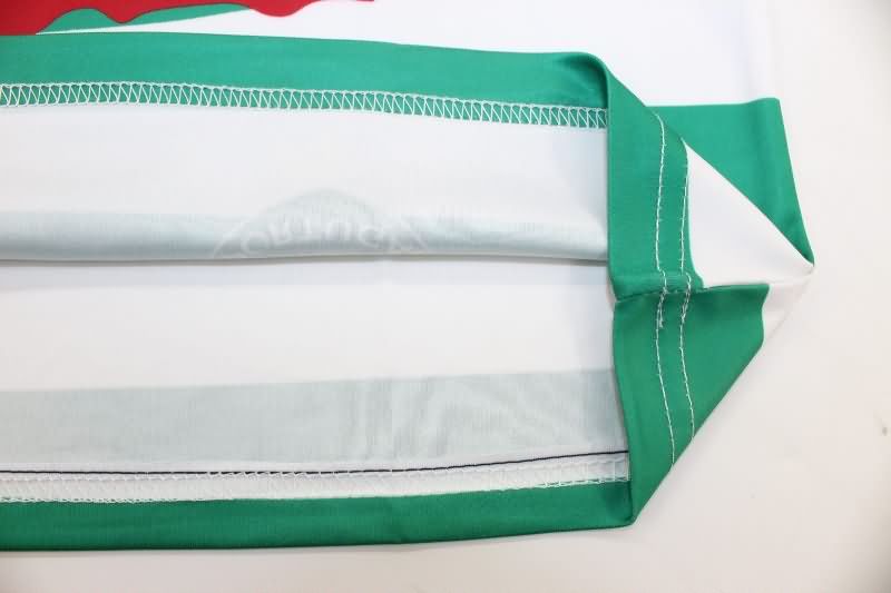 Portugal Soccer Jersey RONALDO Special Replica 2025