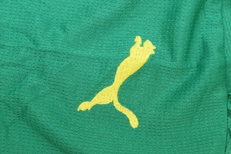 Senegal Soccer Jersey Away Replica 2025