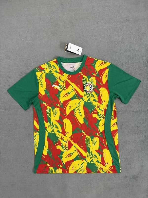 Senegal Training Jersey 02 Replica 2025 Senegal Training Jersey 02 Replica 2025