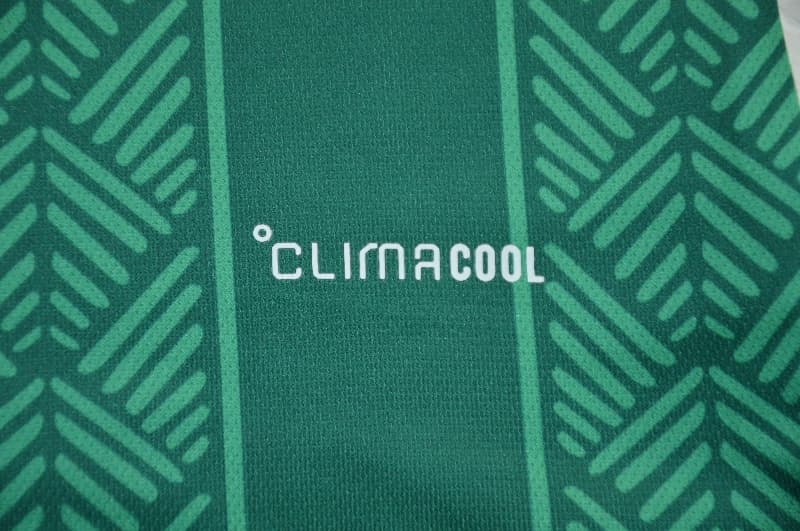 AAA Quality South Africa 2026 Away Soccer Jersey