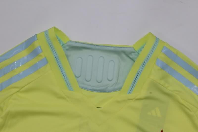 Spain Soccer Jersey Away (Player) 2024