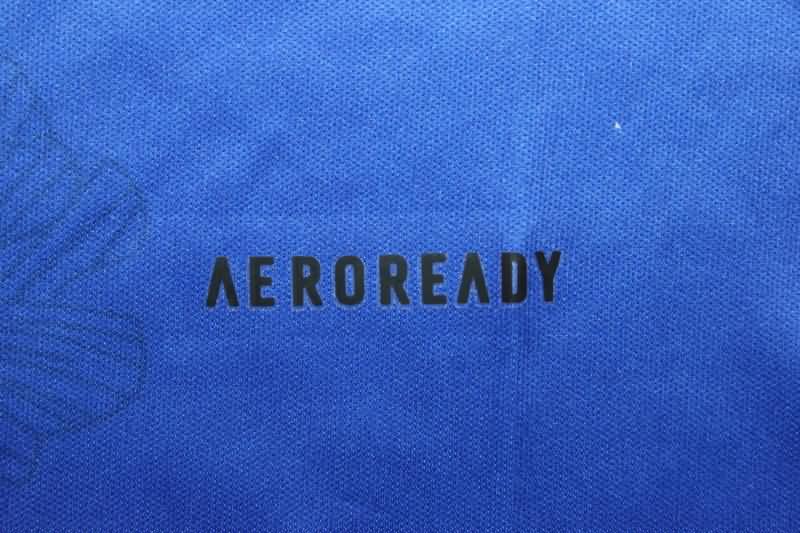 Spain Training Jersey 02 Replica 2024