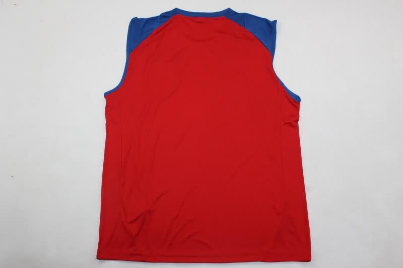 Spain Training Jersey 02 Vest Replica 2024