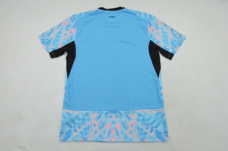 AAA Quality Switzerland 2026 Goalkeeper Blue Soccer Jersey