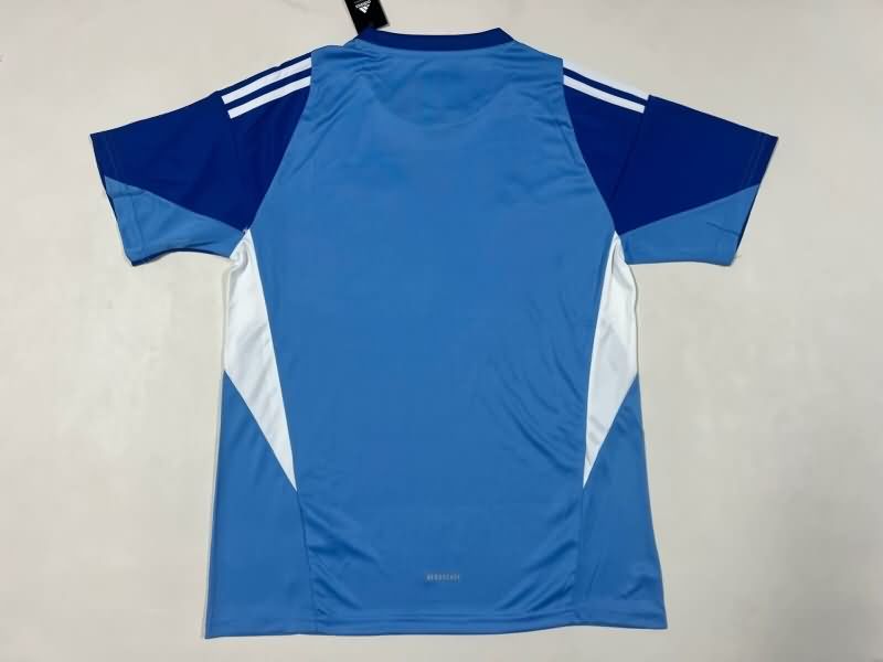 AAA Quality Venezuela 2025 Goalkeeper Blue Soccer Jersey